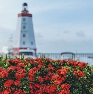 Meet your Posher, Pam